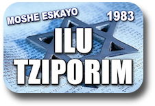ILU_TZIPORIM